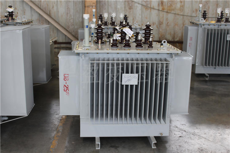 梧州S20-800kVA/10kV/0.4kV变压器